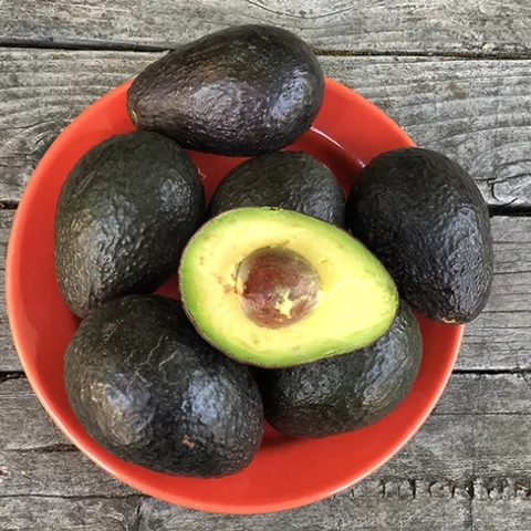 The avocado, often thought of as a vegetable, is really a fruit and it's packed with potassium. (Photo by Kathy Keatley Garvey)