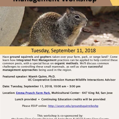 GS Gopher Workshop Flyer