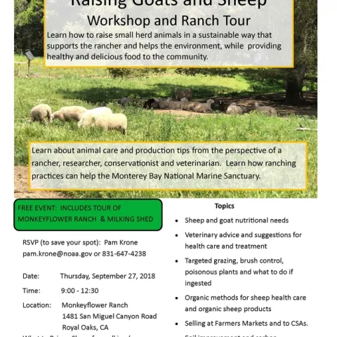 Sheep and Goat Workshop Flyer