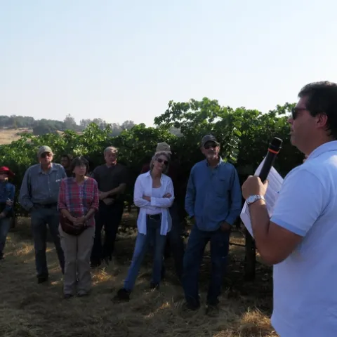 Daniele speaking to a group in a vineyard.