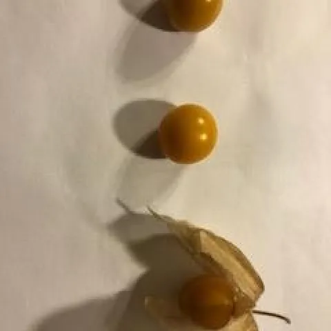 photo by Betty Homer