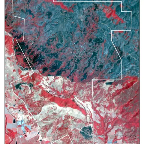HREC Fieldmap Fires. The red is existing vegetation. Many of the oaks did not burn. Brighter red indicates untouched green foliage, fainter red indicates some damage. Black areas are burnt grasslands, gray areas are primarily chaparral or chamise. The two separate black areas are where we did prescribed burns this June. The white spots are ash indicating where a tree did burn. Thanks to Shane Feirer of iGIS for putting this together.