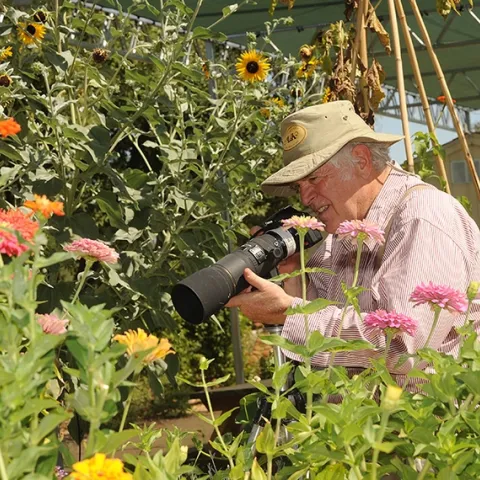 Photographer Allan Jones of Davis focuses his camera on insects in the Häagen-Dazs Honey Bee Haven. (Photo by Kathy Keatley Garvey)