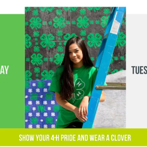 4H spirit day
