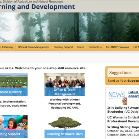 L&D website redesign