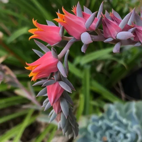 photos by Erin Mahaney