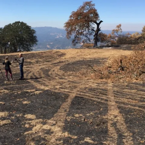 Sara Stinson of KRON4 News interviewed John Bailey about the impact of the River Fire on UC Hopland REC.