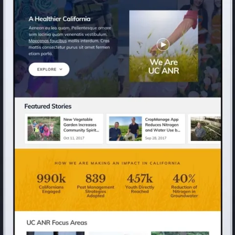 New ANR design mobile