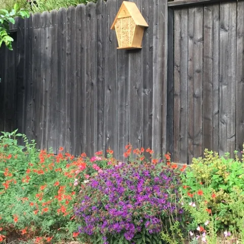 photos by Michelle Davis