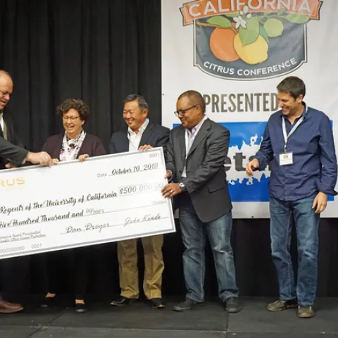 A generous donation from the Citrus Research Board has made creation of a Citrus Research Endowment possible. (Photo credit: Jeanette Warnert )