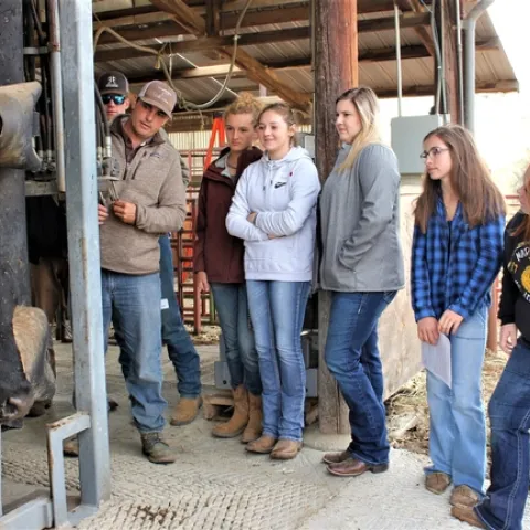 Clint Tipton shows students the hydraulic cattle chute.