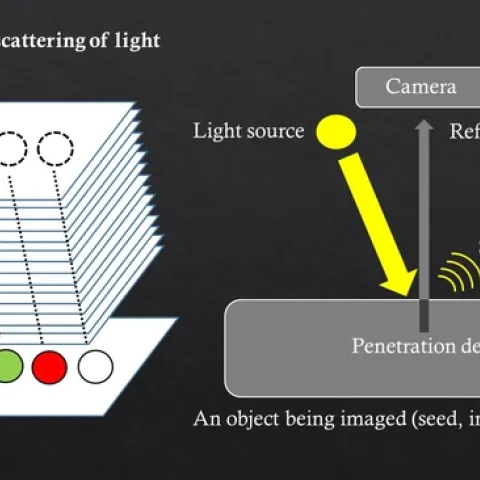 This graphic illustrates the Christian Nansen article on "Penetration and Scattering—Two Optical Phenomena to Consider When Applying Proximal Remote Sensing Technologies to Object Classifications," published in PLOS ONE. (Image courtesy of Christian Nansen)