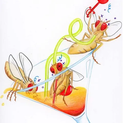 UC Merced assistant professor Fred Wolf uses this graphic to illustrate his research.