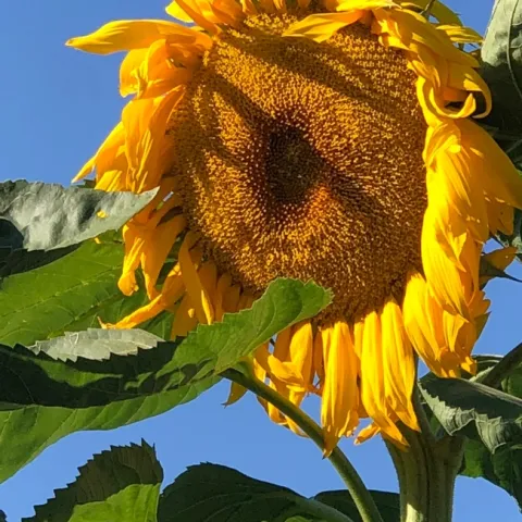 photos by Erin Mahaney