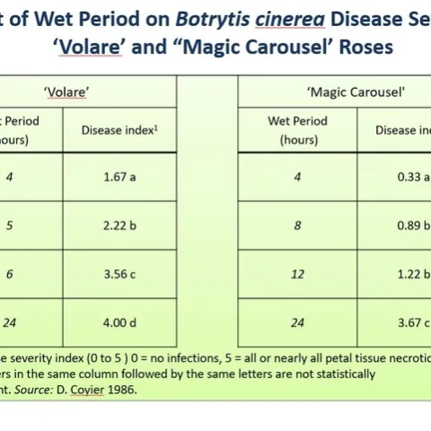 Botrytis and leaf wet
