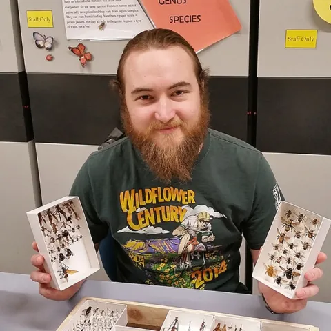 Entomologist Brennen Dyer, shown here at work at the Bohart Museum of Entomology, UC Davis, lost it all in the Paradise inferno known as Camp Fire. His supervisor, Lynn Kimsey, director of the Bohart Museum and UC Davis professor of entomology, encouraged him to set up a gofundme account.