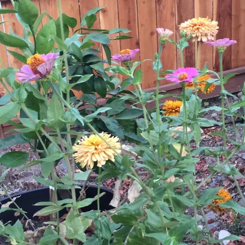 photos by Martha White