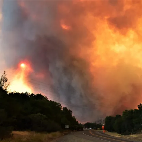 The Carr Fire burned 1,077 homes in Northern California during the summer of 2018. (Photo: Bureau of Land Management)
