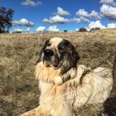 Photo Dec 02, 12 55 04 PM