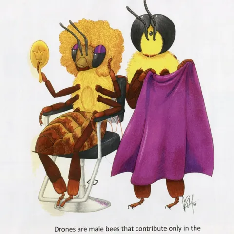 A UC Davis student wrote: "Drones are male bees that contribute only in the perm production for the queen." That inspired Karissa Merritt to create this for the newly published Bohart Museum of Entomology calendar, now available for purchase.