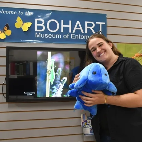 Bohart associate Emma Cluff cuddles a tardigrade, one of the stuffed animals available for sale in the Bohart Museum of Entomology's gift shop. (Photo by Kathy Keatley Garvey)