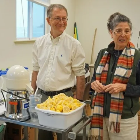 El fisiólogo de plantas de USDA, David Oberland (izquierda) y Mary Lu Arpaia, especialista en frutas subtropicales de Extensión Cooperativa de UC, preparan algunos limones para las pruebas de sabor en el laboratorio sensorial.