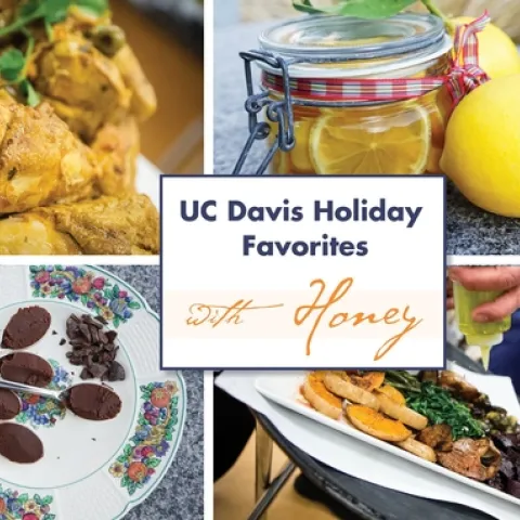 Sweet! The UC Davis Honey and Pollination Center is selling honey and offering free recipes.