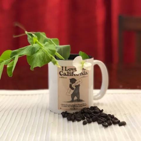 photo by Erin Mahaney