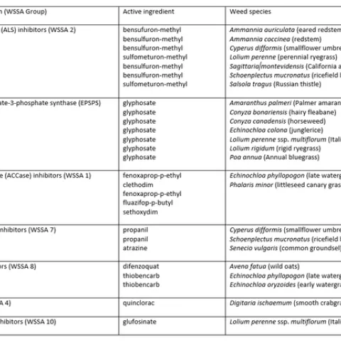 Weeds in CA with HR to one SOA