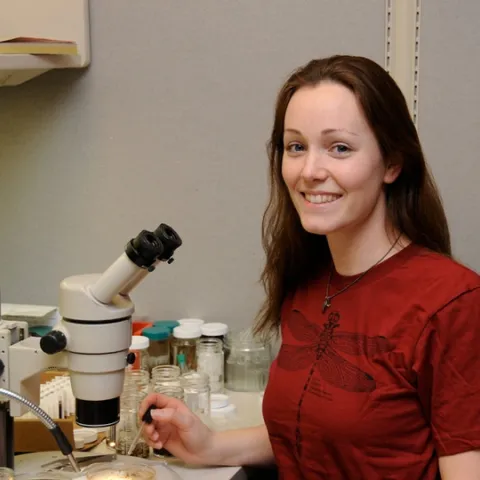 Danielle Wishon, shown here in 2011 at the Bohart Museum of Entomology, will be back at the Bohart on Saturday, Jan. 12 to participate in an open house. (Photo by Kathy Keatley Garvey)