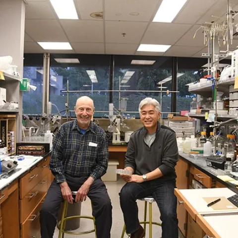 UC Davis distinguished professor Bruce Hammock (left) and chemist Sung Hee Hwang in the Hammock lab. (Photo by Kathy Keatley Garvey)