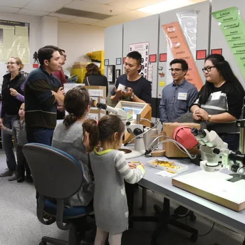 Fly researchers from the Joanna Chiu lab (back, from left) graduate student Yao Cai and undergraduate students Christopher Ochoa and Cindy Truong, talk to visitors. (Photo by Kathy Keatley Garvey)