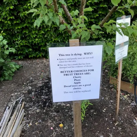 photos by Karen Metz