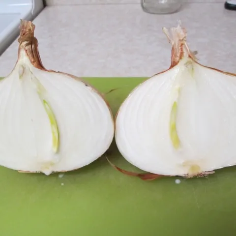 Zoey Onion 5 months after harvest