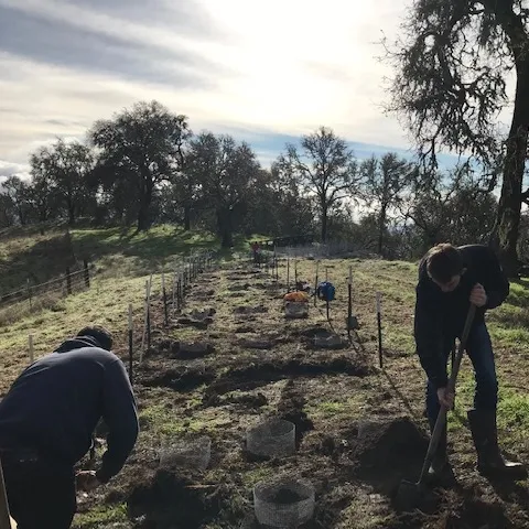 Zane and Benjamin planting acorns for the UC Santa Cruz study by Dr. Blair McLaughlin of the Zavaleta Lab.