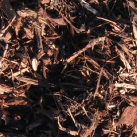 Screen Shot 2019-01-18 at 1.43.01 PM