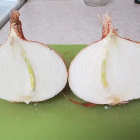 Screen Shot 2019-01-18 at 3.50.02 PM