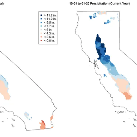 Figure 1. Historical (10-year, left) and current (right) seasonal precipitation totals between 10/1/18 and 1/20/2019 in California small grain growing regions.
