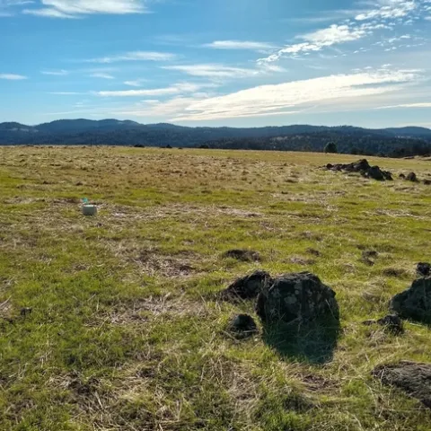 Monitoring greenhouse gases on food waste compost plot.