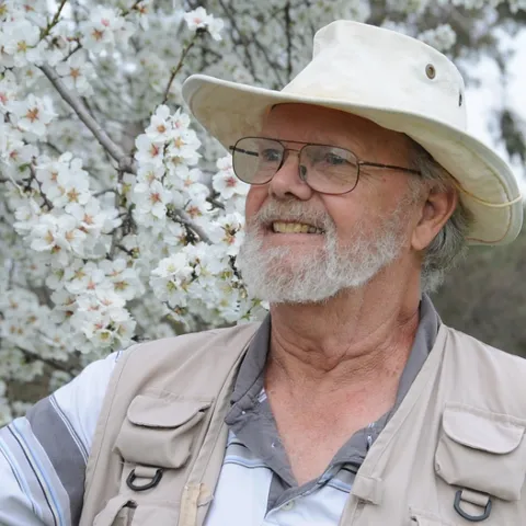 Native pollinator specialist Robbin Thorp, distinguished emeritus professor of entomology, stands by an almond tree on Bee Biology Road. (Photo by Kathy Keatley Garvey