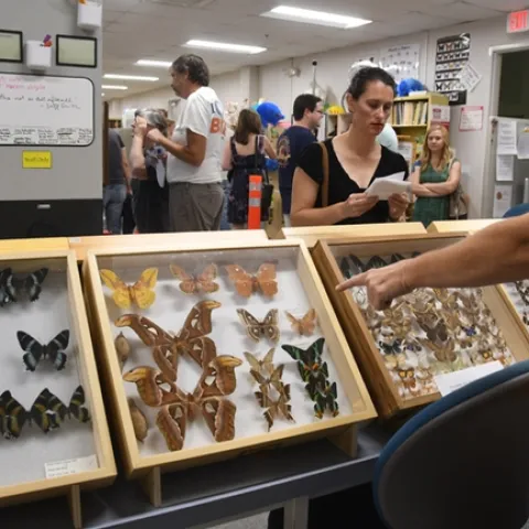 The Bohart Museum of Entomology is home to nearly eight million specimens in its worldwide collection. (Photo by Kathy Keatley Garvey)