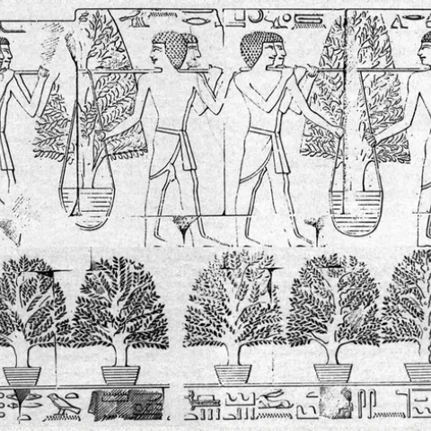 Francincense and Containers