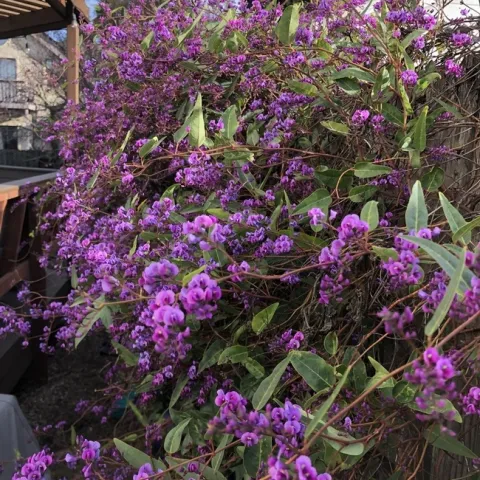 photos by Erin Mahaney