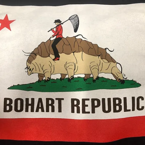 This is the back of the tardigrade hoodie, "The Bohart Republic" water bear flag. It's available in the gift shop at the Bohart Museum of Entomology. The art, reminiscent of the California Bear Flag, is by Charlotte Herbert Alberts, an entomology doctoral student. The Bohart has its own bear "water bear" flag! (Photo by Fran Keller)