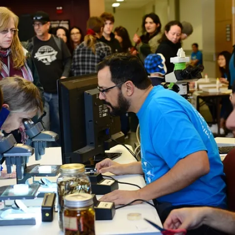 UC Davis doctoral student and nematologist Christopher Pagan shows nematode specimens to visitors at the UC Davis Biodiversity Museum Day. (Photo by Kathy Keatley Garvey)