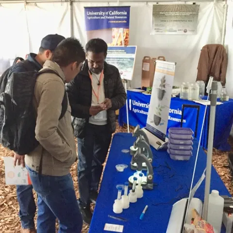 Surendra Dara explains how fungi kill insects.