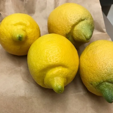 lemon valley nipples