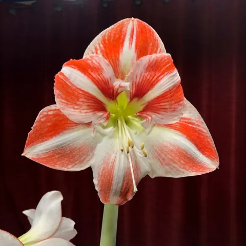 photos by Erin Mahaney