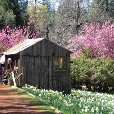 photos by Michelle Davis