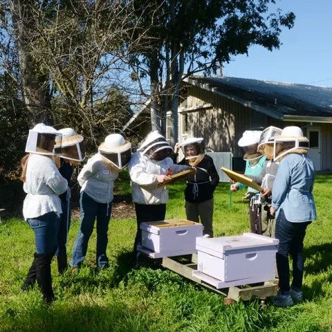 Extension apiculturist Elina Lastro Niño (center) leads a beekeeping class at the Laidlaw facility. (Photo by Kathy Keatley Garvey)